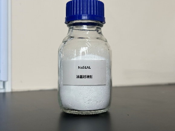 NaSEALͻ¼